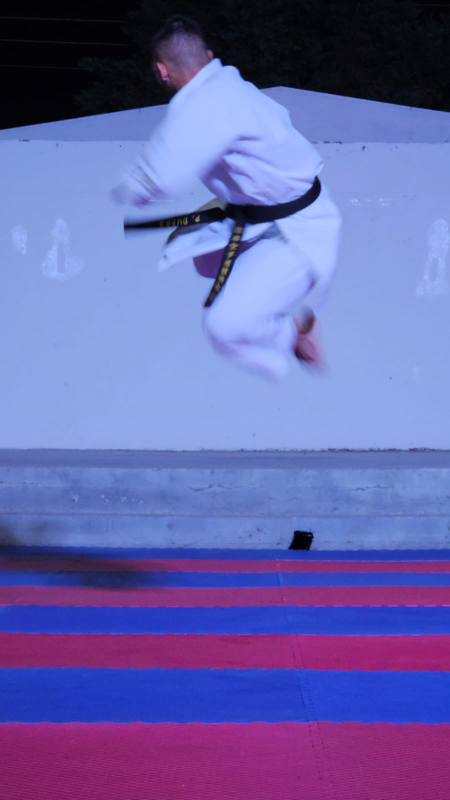 Kids practicing karate